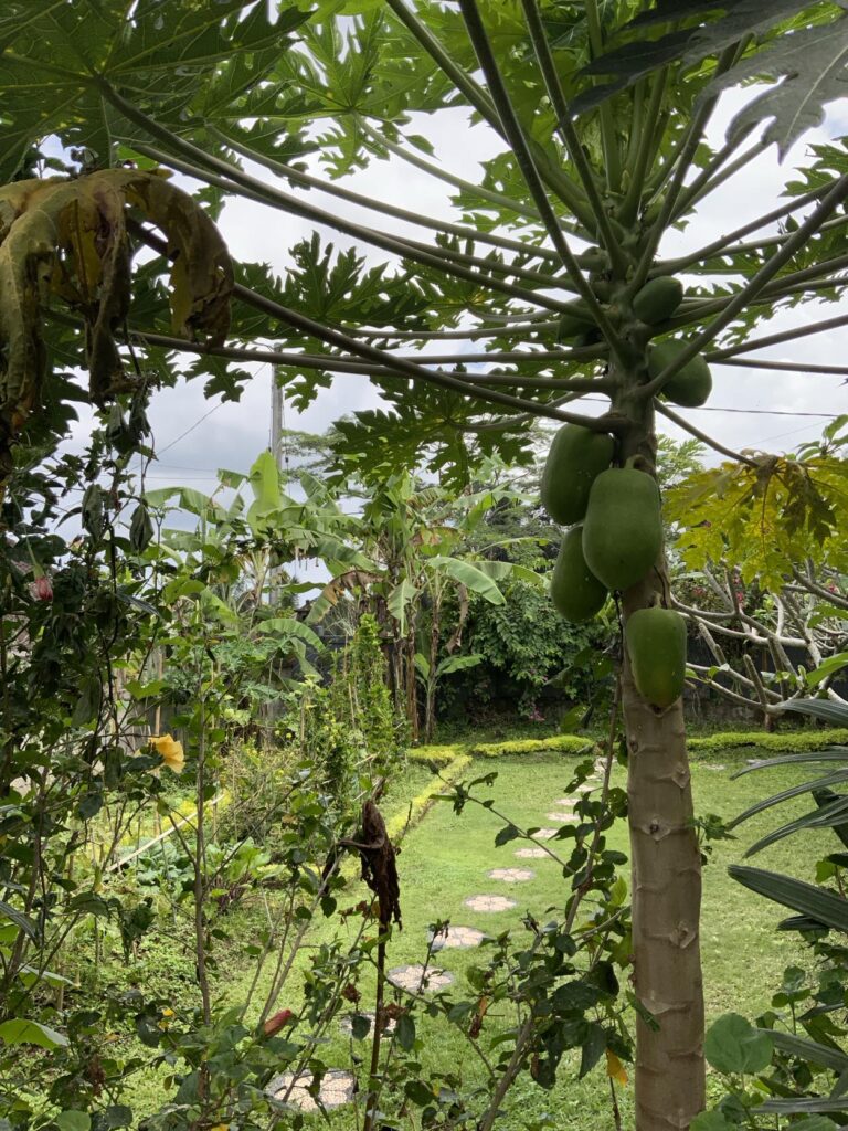 462584467_1699673070883758_1589811819579063540_n