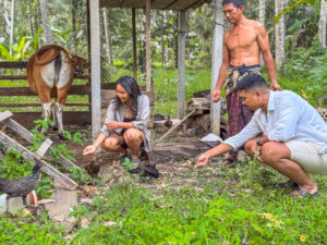 Meet our Animal Family