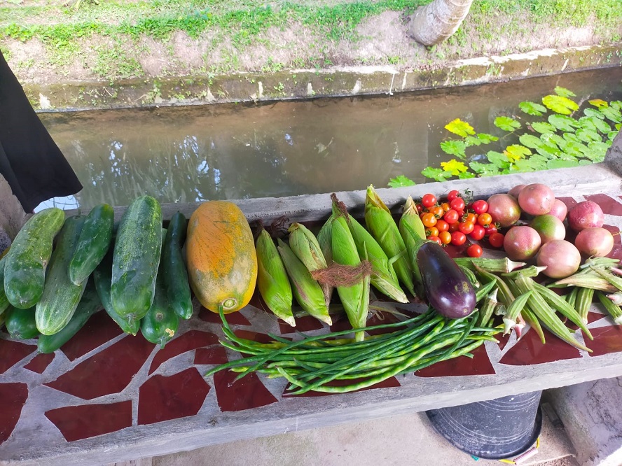 Organic Farmers Market