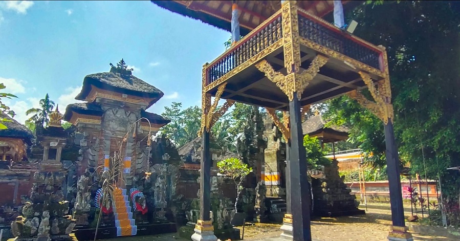 Organic Farmers Market