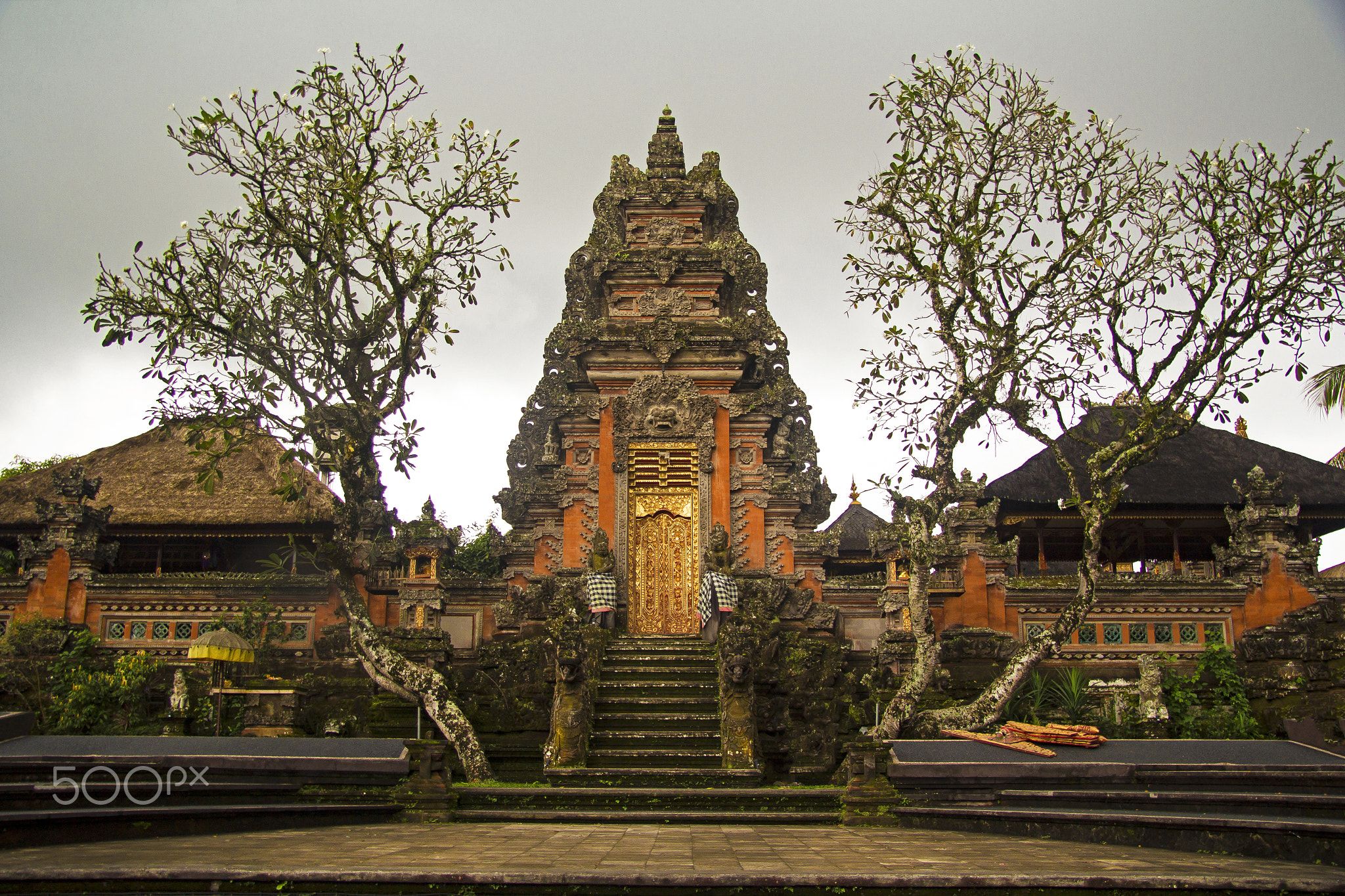 bali cultural tours