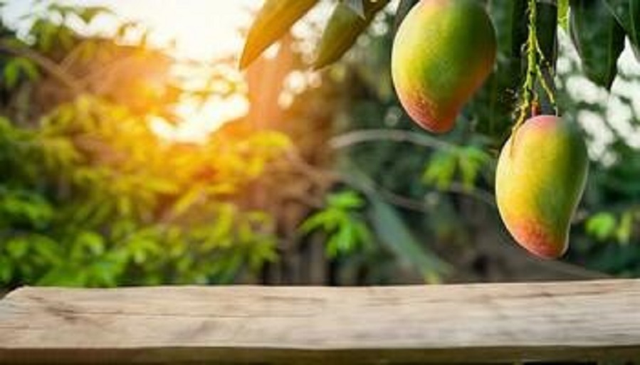 permaculture bali