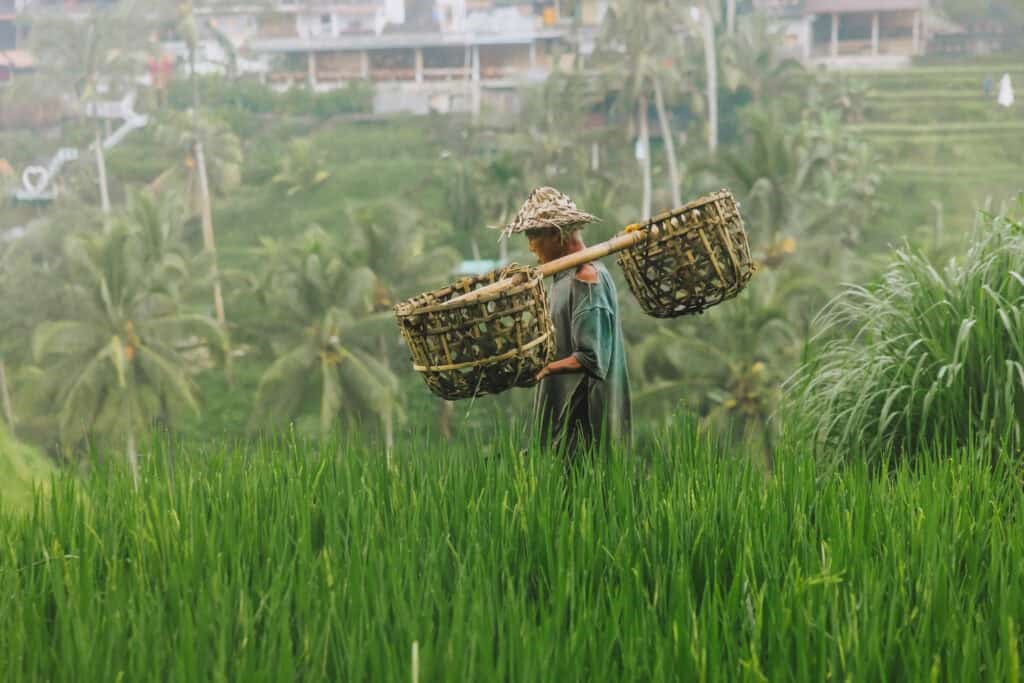 permaculture bali