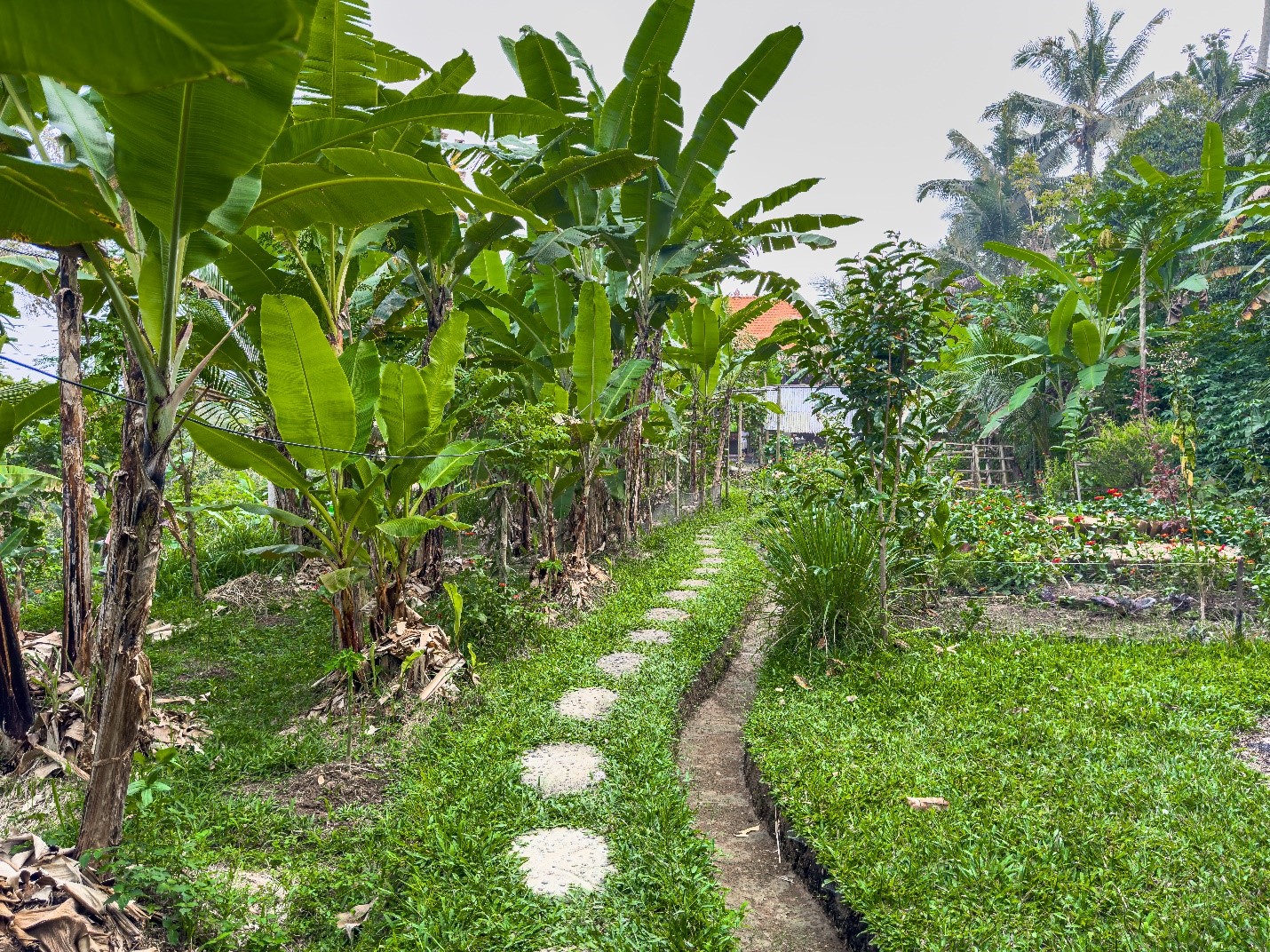 Permaculture Bali 